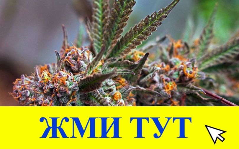 Купить наркотики в Тихвине